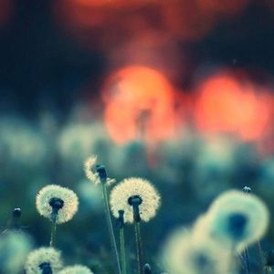 Meet your Posher, Gianna